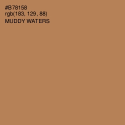 #B78158 - Muddy Waters Color Image